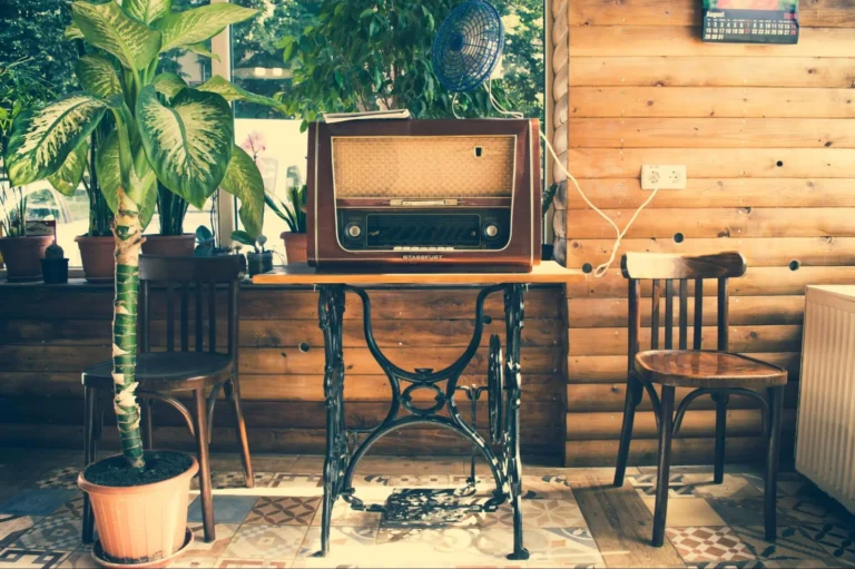 A vintage Stassfurt radio set on a small table made from a Singer sewing machine base in a room surrounded by wooden chairs, a tall plant, a vintage fan, and some plants in the background. Wooden panels on the wall.