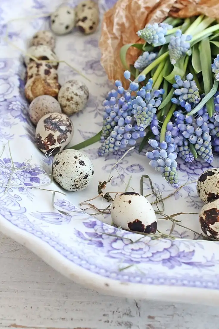 A closeup view of grape hyacinths and quail eggs on a vintage purple English transferware plate with floral motifs.