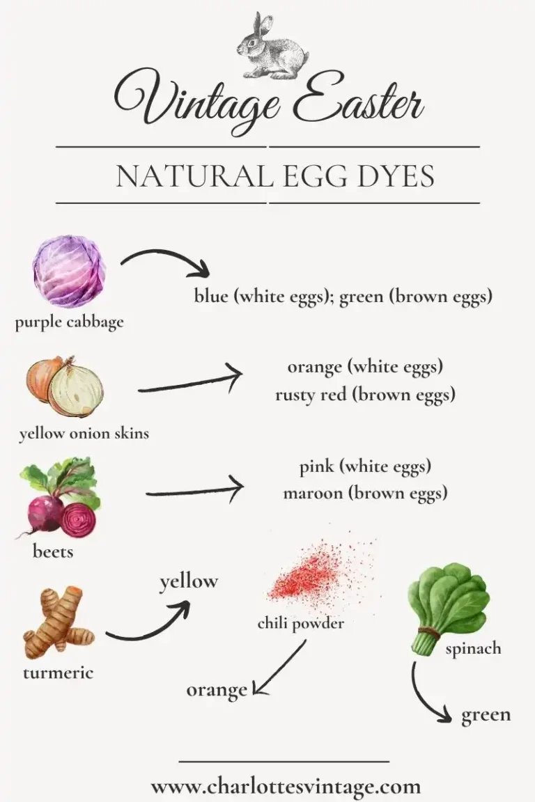 A Charlotte’s Vintage infographic featuring colorful watercolor illustrations and explanations for each natural egg dye.