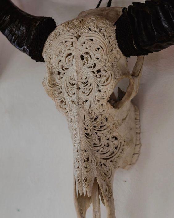 A ¾ view of a meticulously hand-carved cow skull with black horns hanging on a white wall.