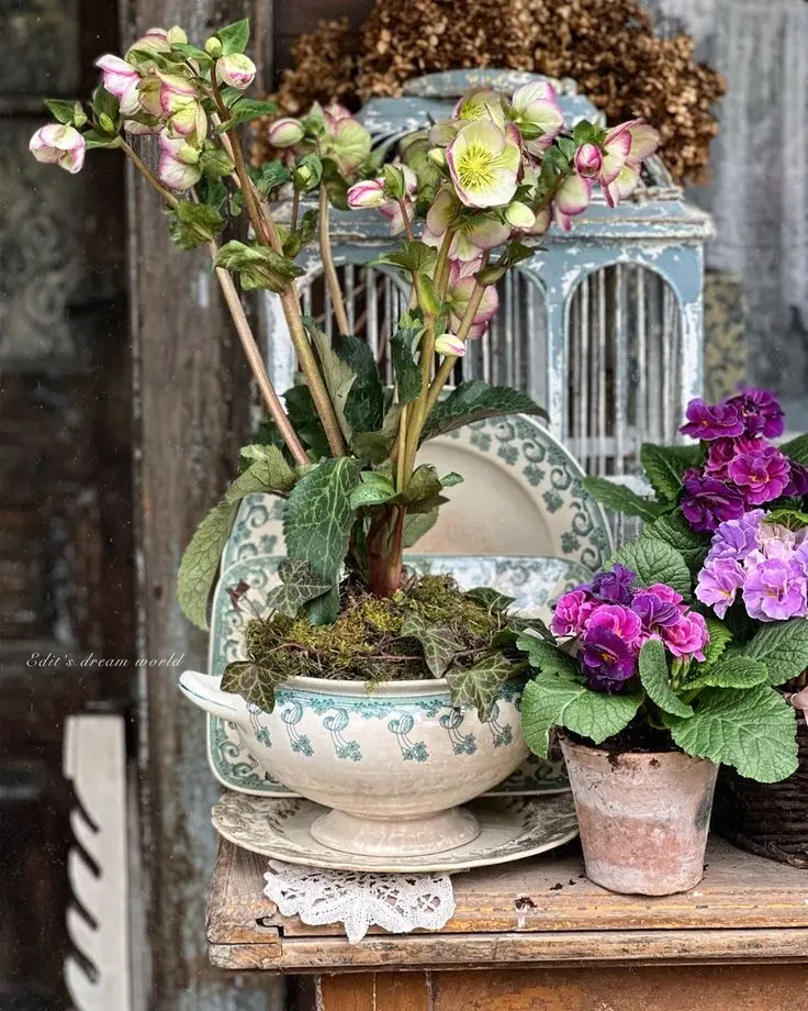 A vintage enamelware vessel with a turquoise and cream pattern used as an orchid planter sits on a white doilie placed on a rustic brown table; pink flowers in a terracotta pot are seen next to it.