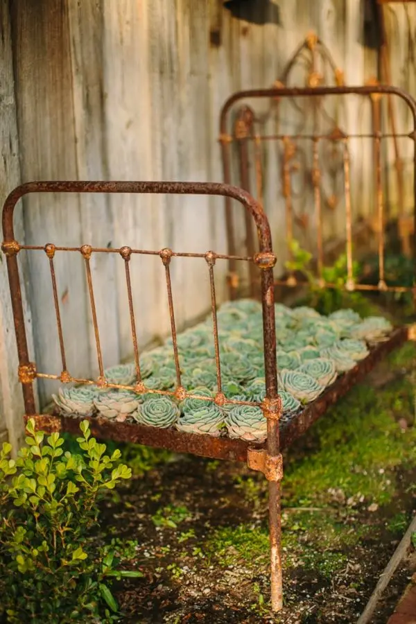 A vintage patina-covered metal bed frame with succulents planted inside it.