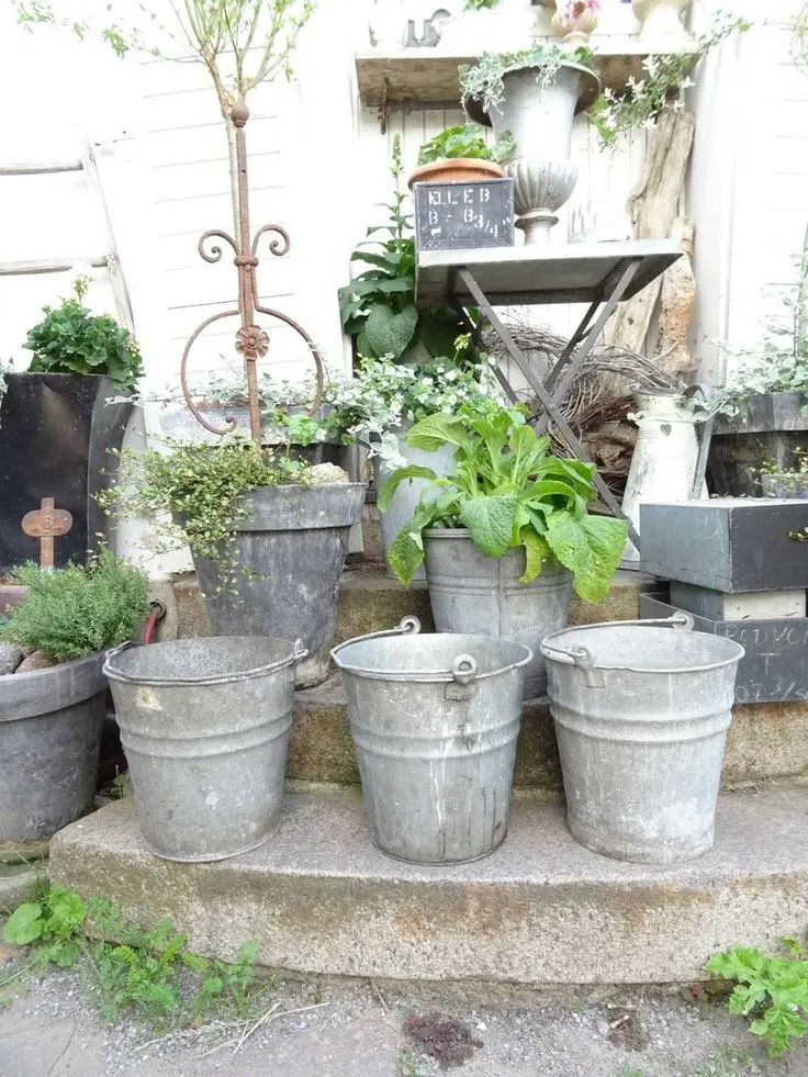 Old metal pails, green potted plants, and vintage gardening tools sit on concrete steps.