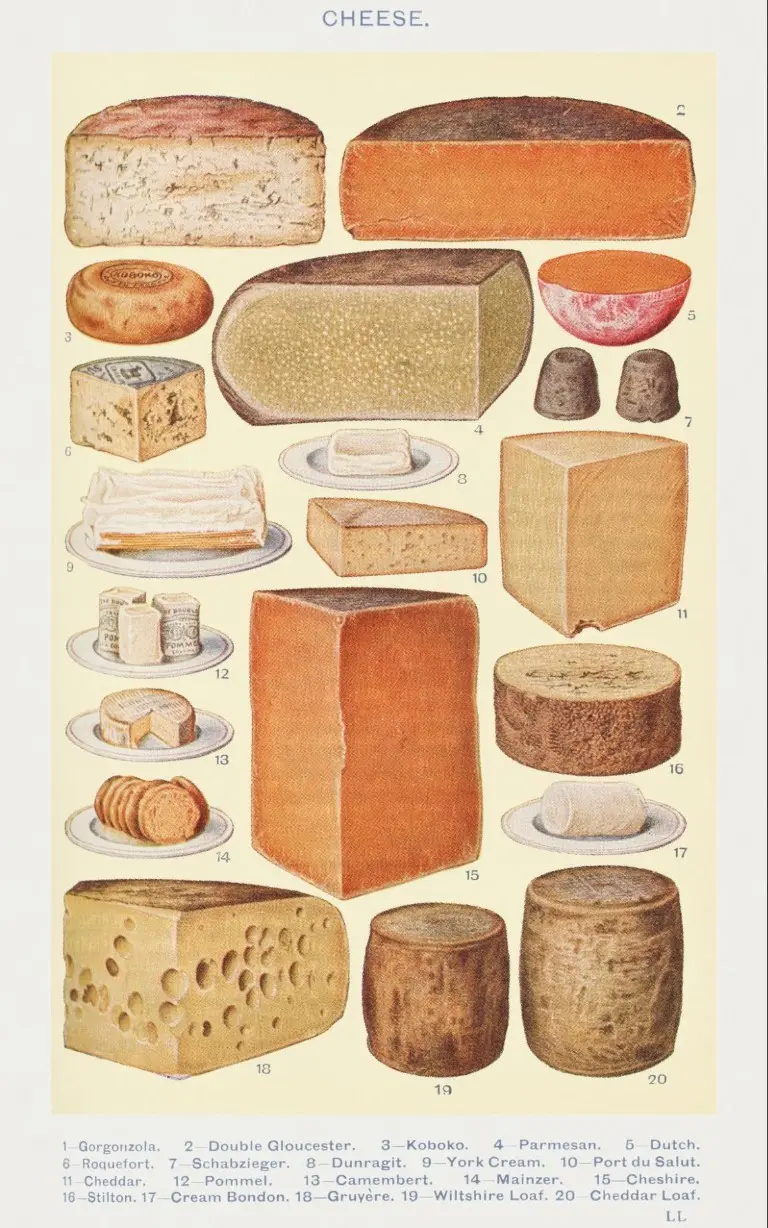 A page from an old cookbook featuring cheese varieties.