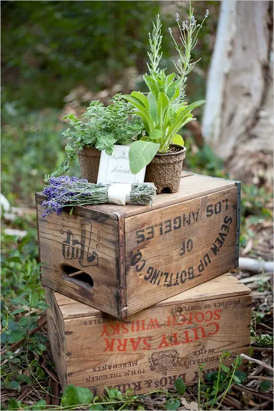 A couple of potted herb plants and a bouquet of lavender sit on top of two vintage wooden produce crates, one on top of the other.