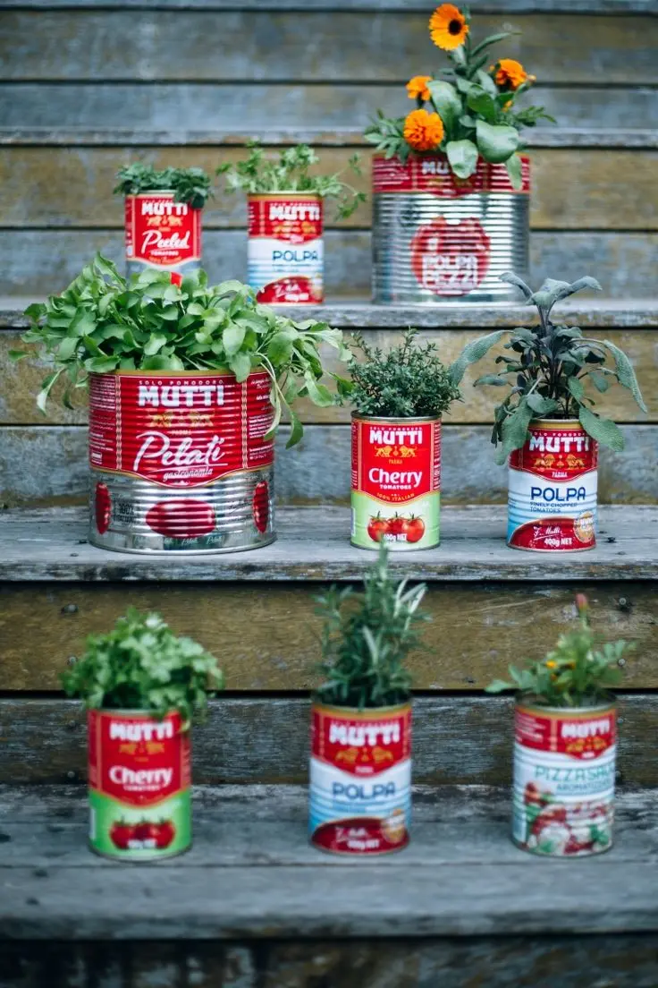 Nine vintage Mutti tomato sauce cans with a different herb planted in each one, place on rustic wooden steps.