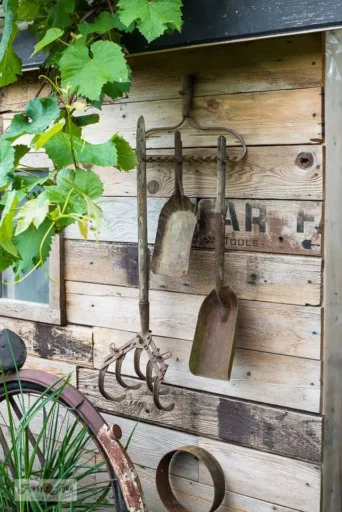 Four rustic garden tools hanging on the side of a rustic wooden shed, with grapevine leaves hanging from the left hand side.